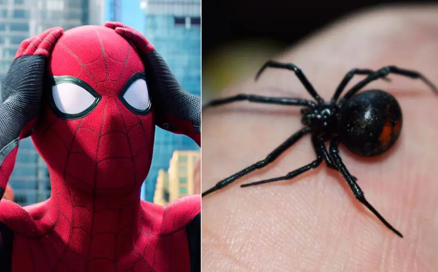 spider-man