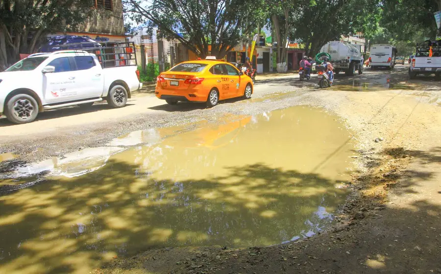 baches 