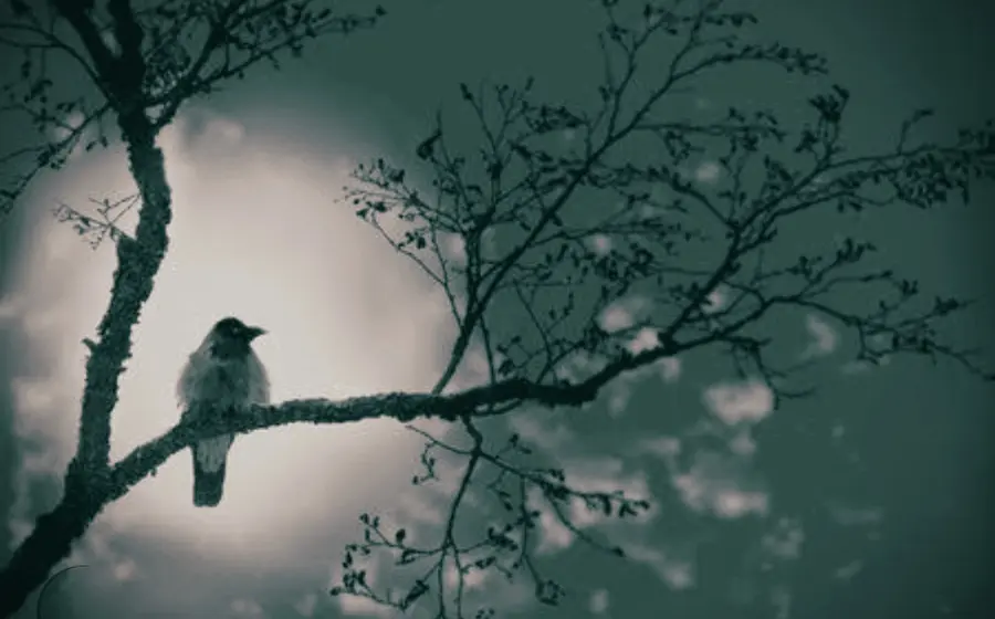 pajaro-ave-arbol