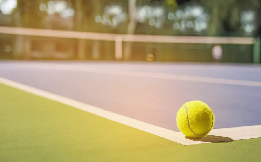 Pelota de tenis