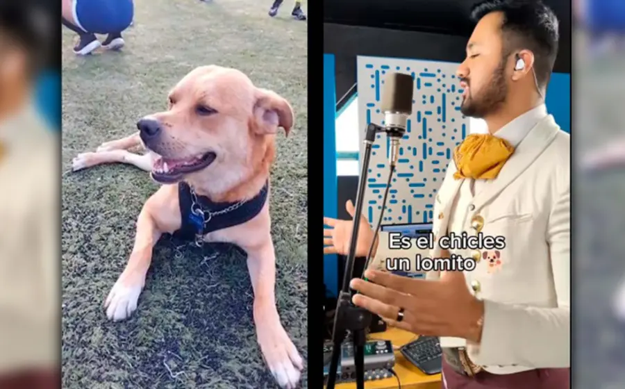 corrido_perrito_el_chicles