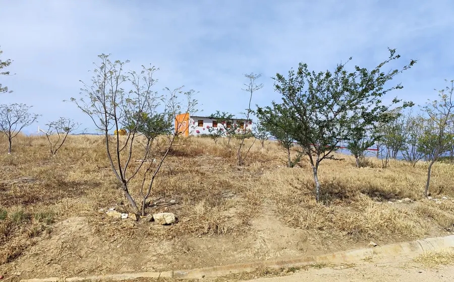 Lugar de los hechos