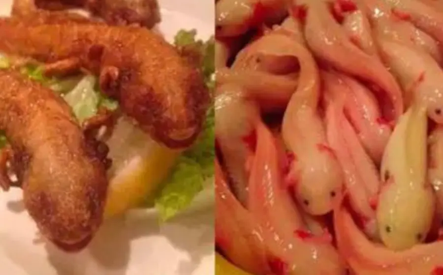 ofrece_restaurante_ajolotes_fritos