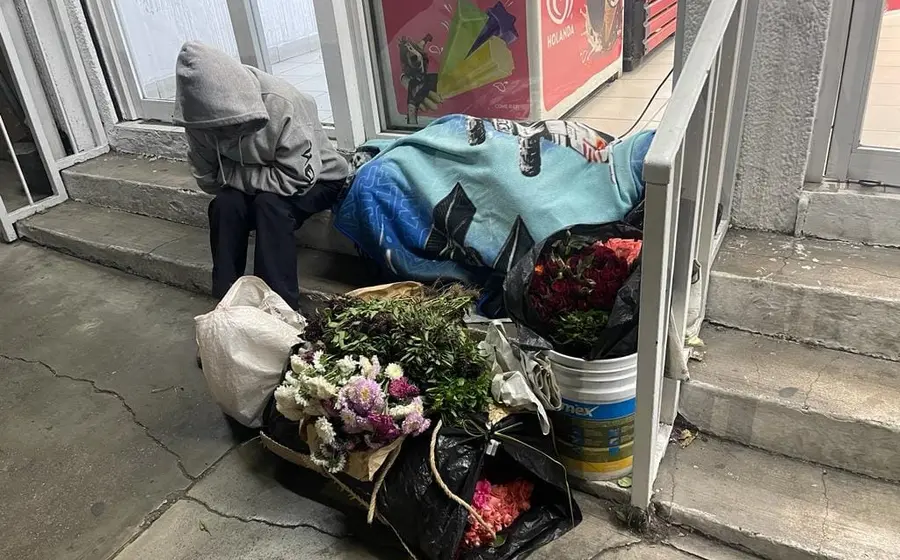 apoyo-oaxaca