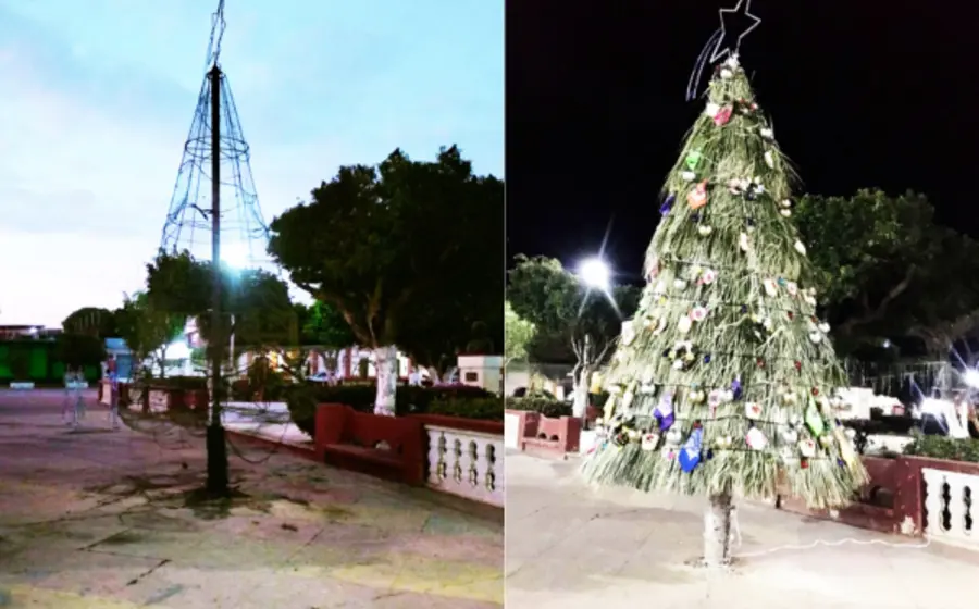 arbol-portada