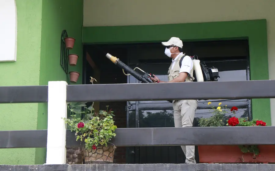 dengue-en-oaxaca