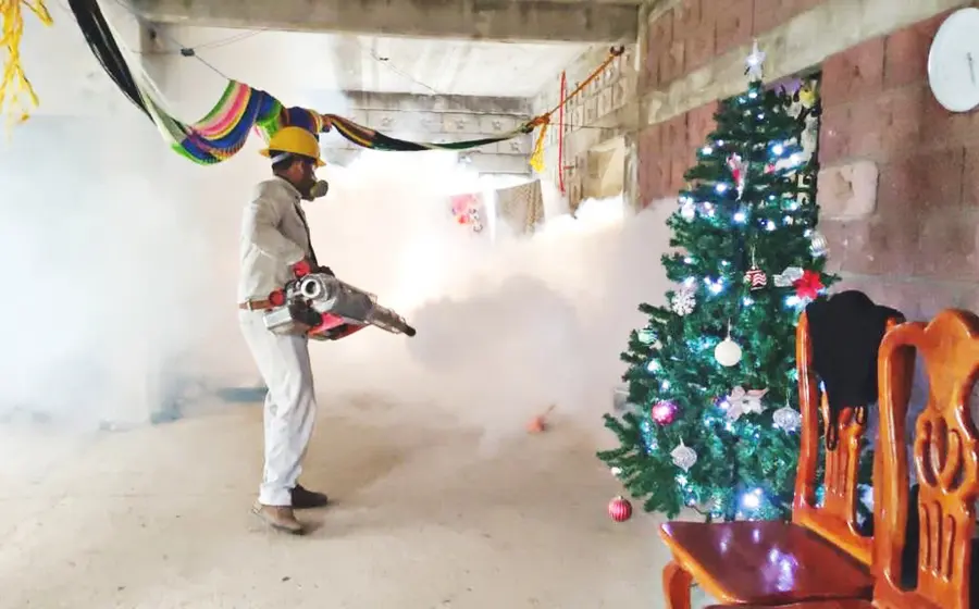dengue-en-oaxaca