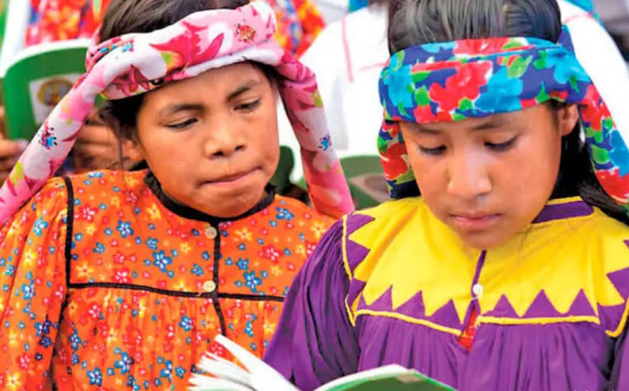 educacion-oaxaca