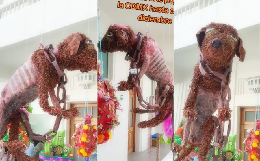 crean_piñata_lomito_maltrato_animal