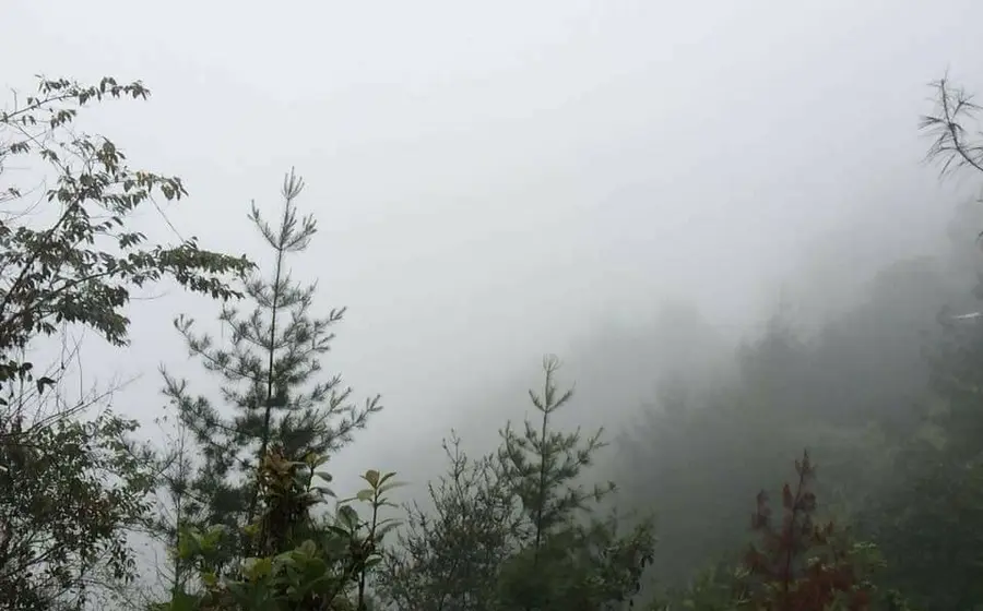 frio-sierra-mixe