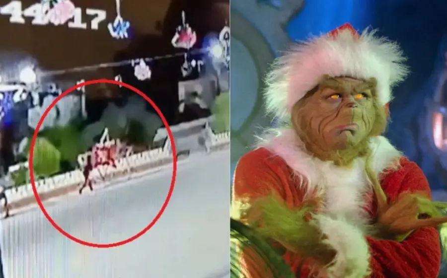 sujeto_destroza_adornos_navideños_grinch