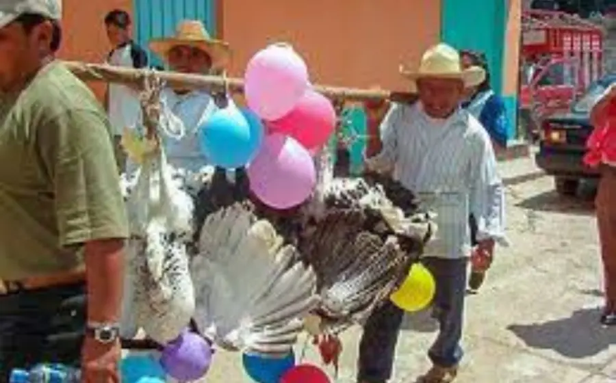 disfrazan_guajolotes_caxtlahuaca_virgen