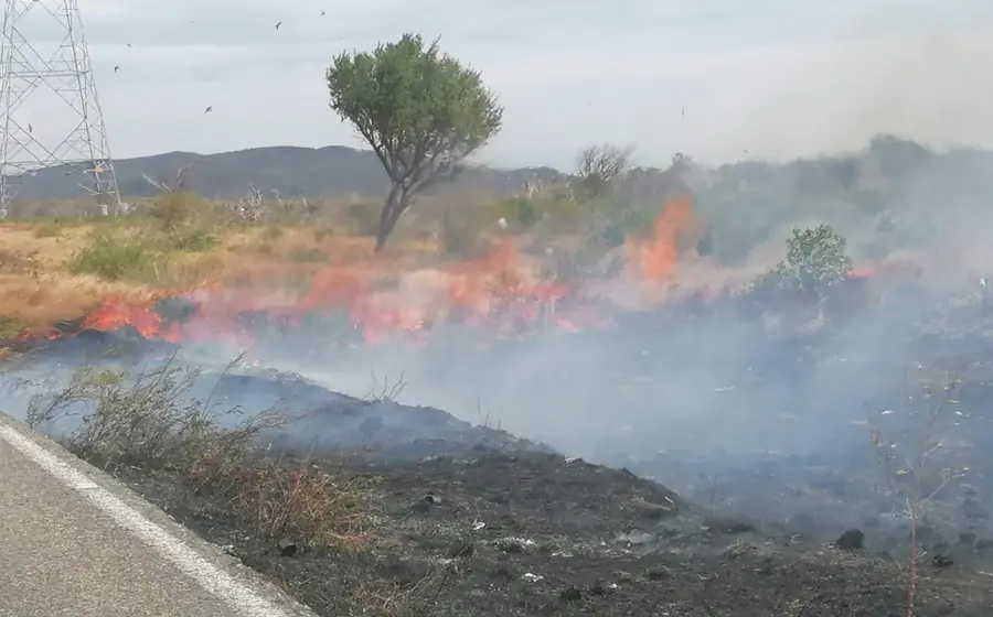 incendio-oaxaca