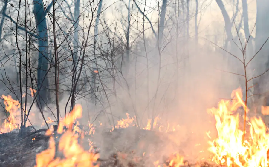 incendios-oaxaca