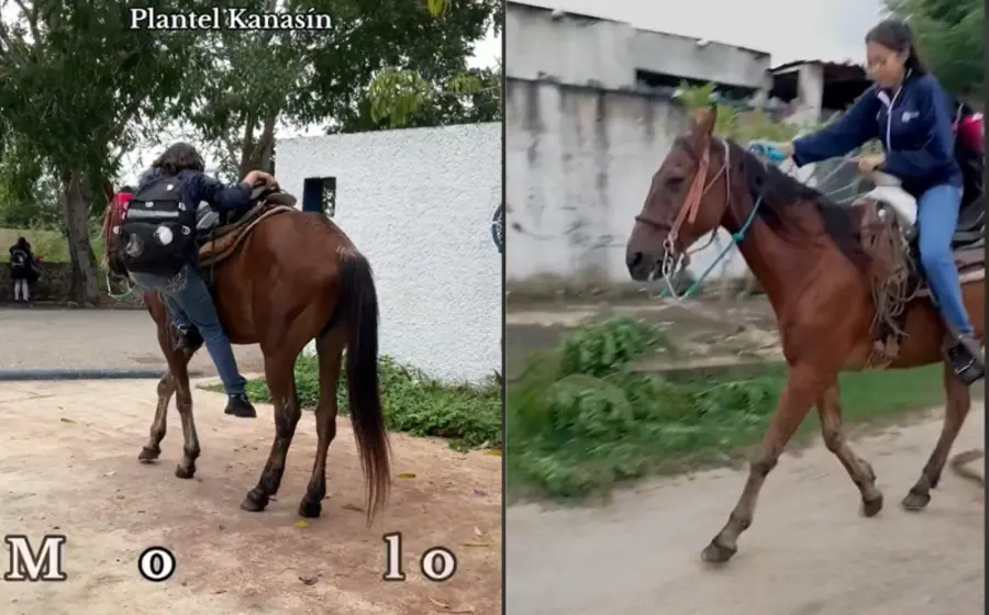 elige_caballo_no_xv_años