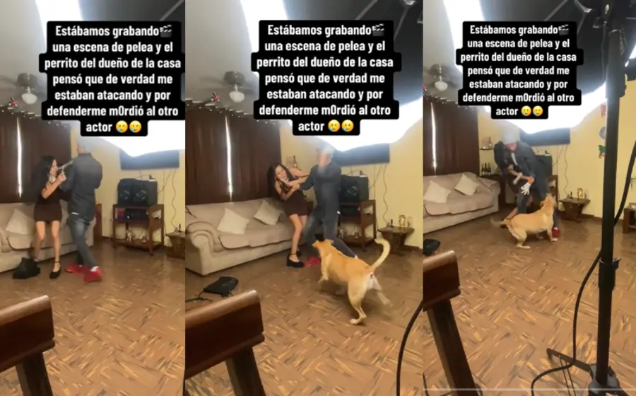 lomito_muerde_actor_escena_grabada