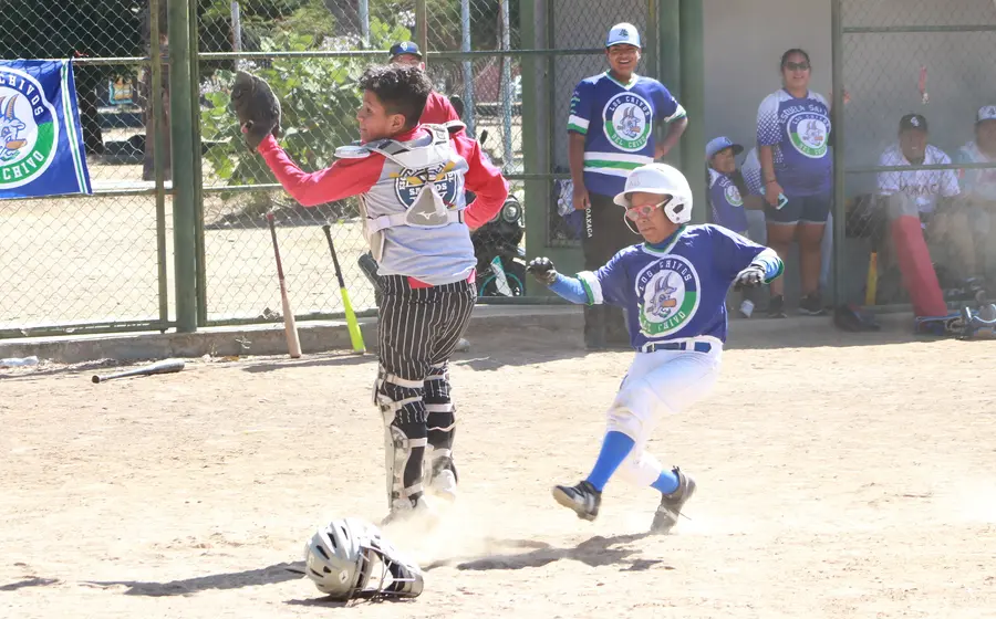 partido-oaxaca