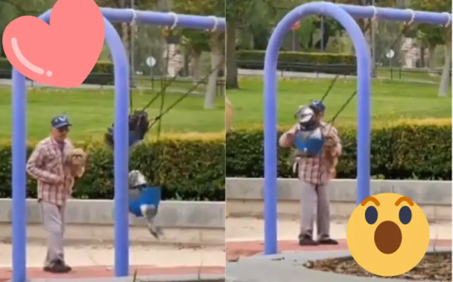 video