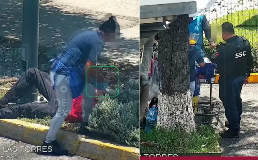 vendedora_fruta_roba_telefono_dormido