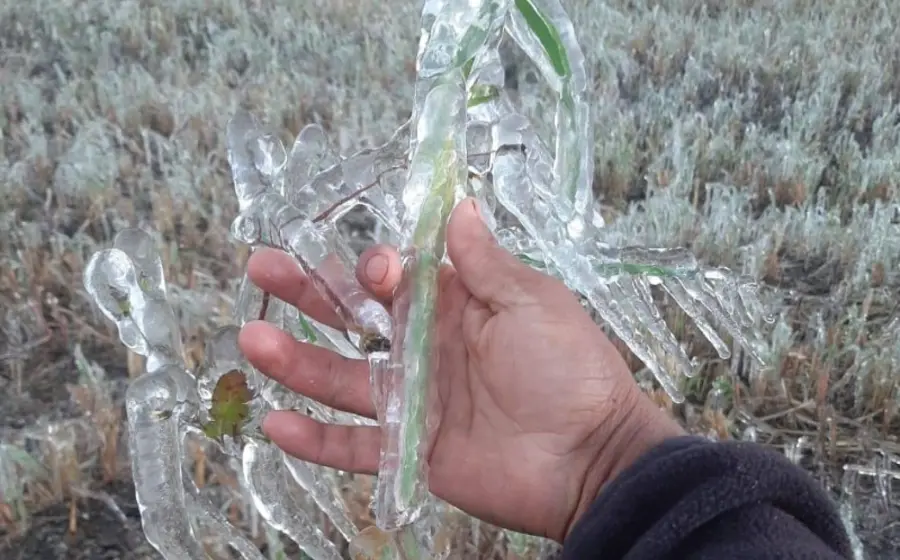 reportan_bajas_temperaturas_mixteca_oaxaca