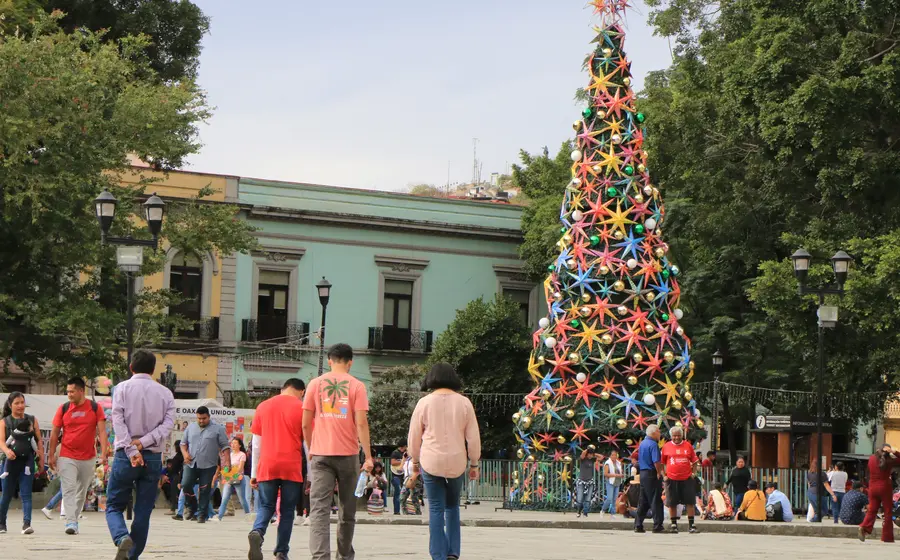 zocalo-navidad-pino-diciembre