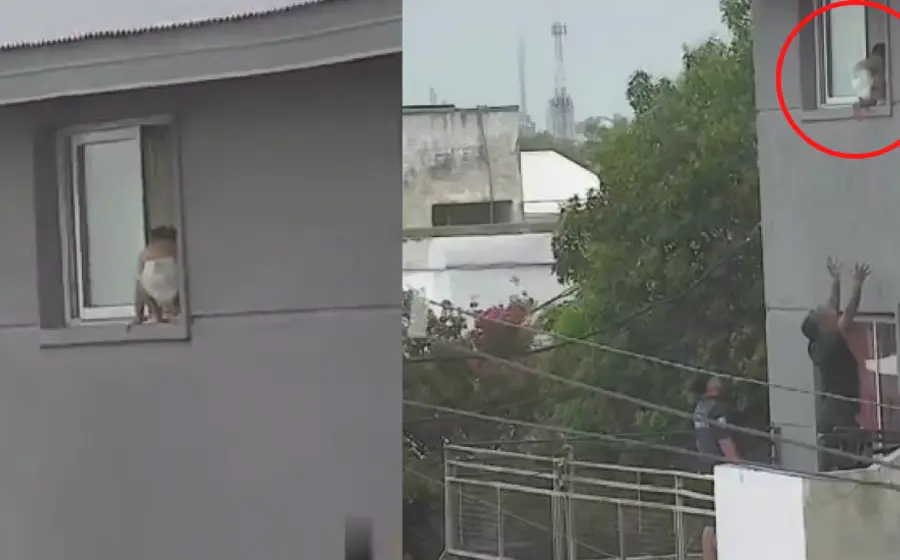 bebe_ventana_salvado