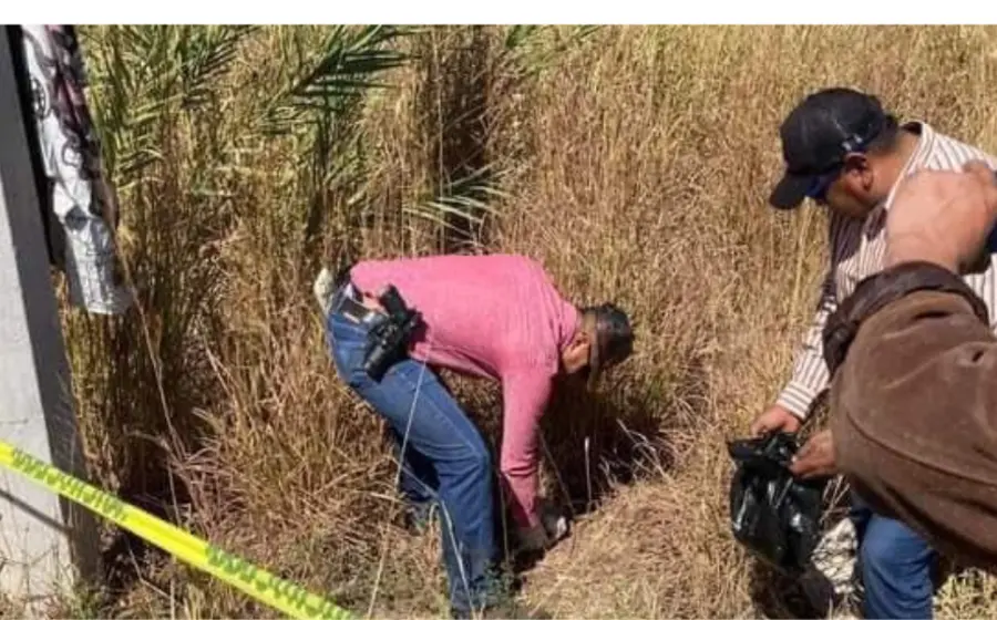 investigacion
