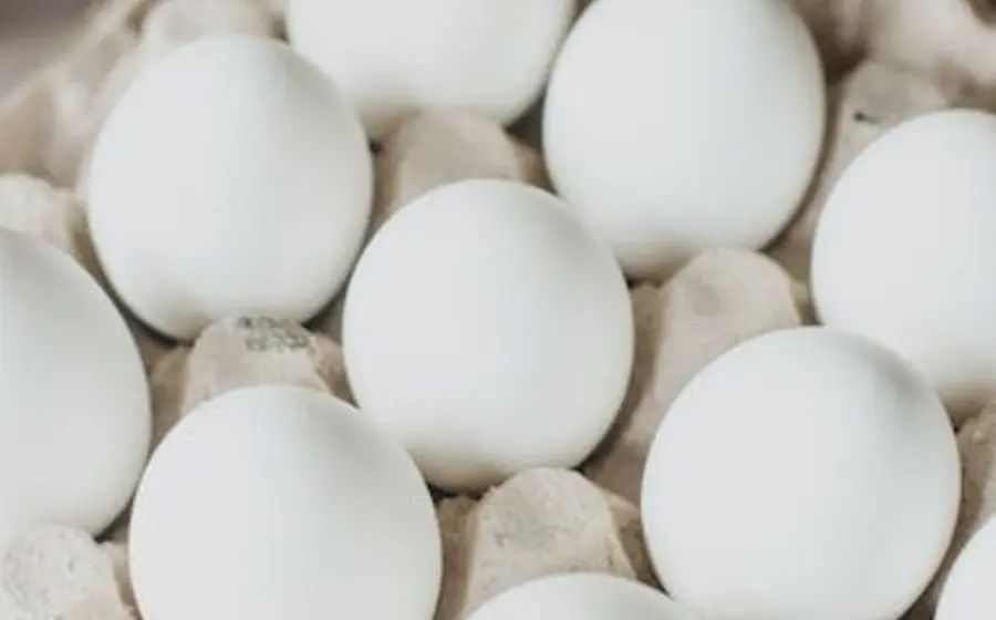 huevos