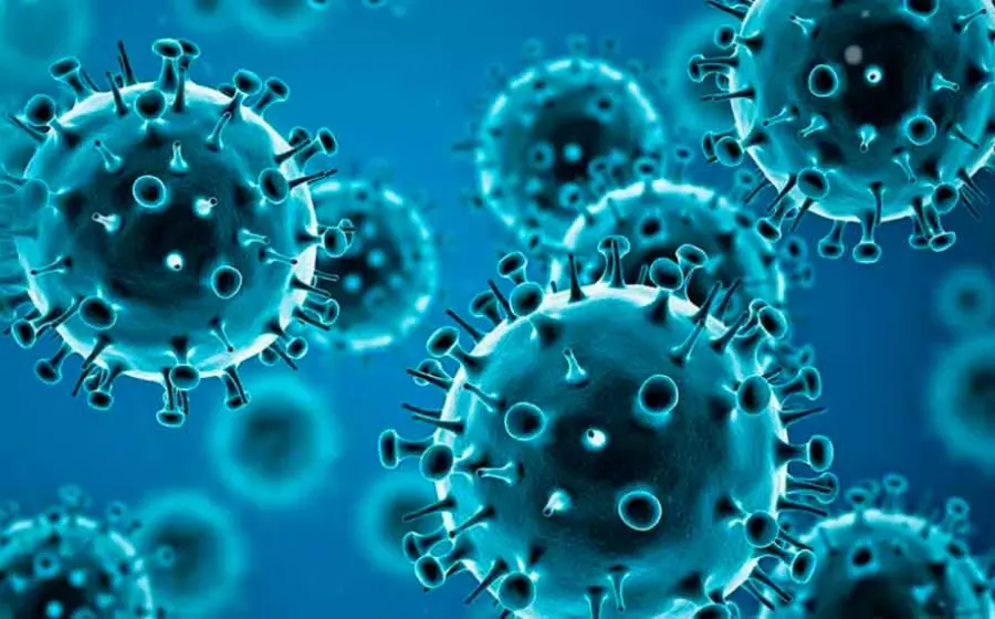 virus 
