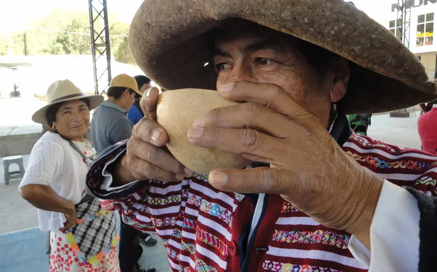 pulque 