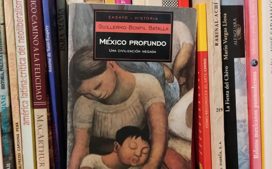 guillermo_bonfil 