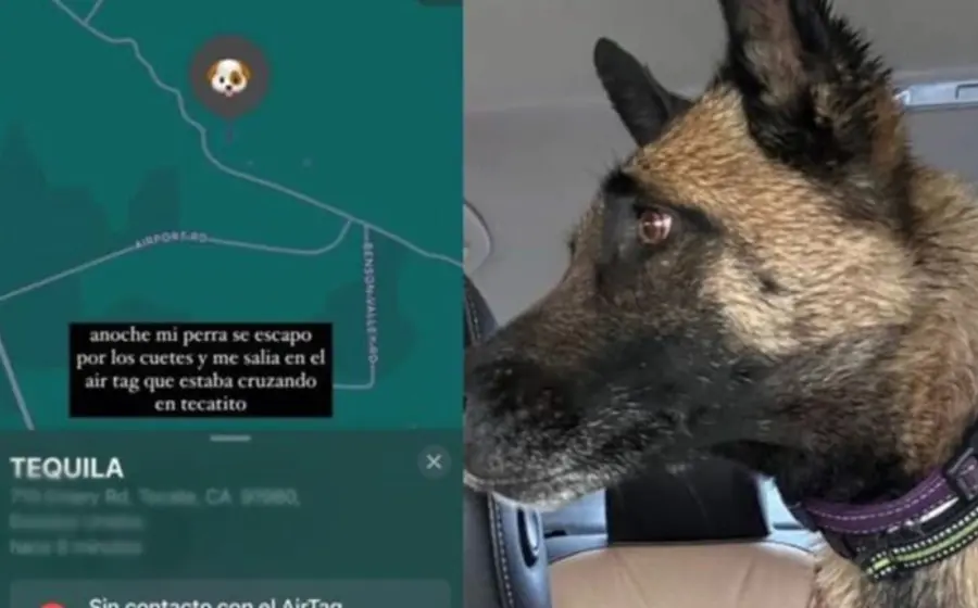 perrita_escapa_a_eu
