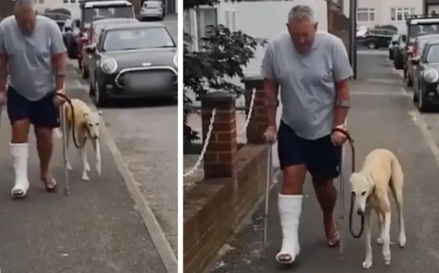 hombre-lesionado-pasea-perro