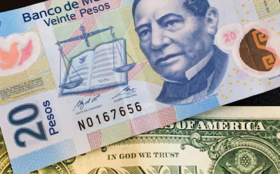 moneda