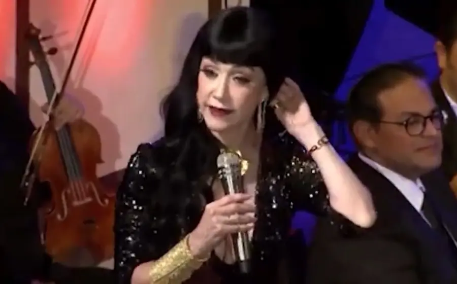 cantante 