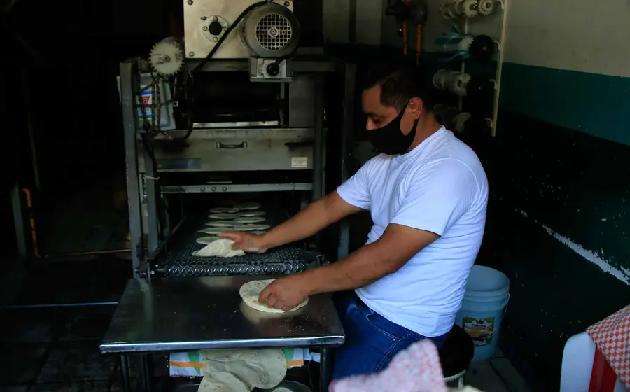 tortilla-maquina 