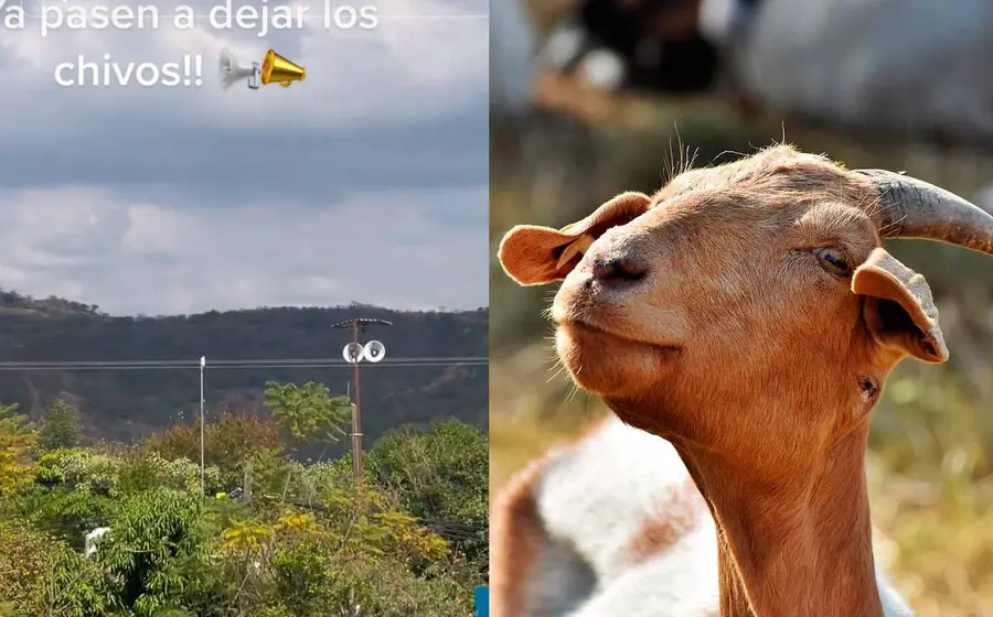 pueblo-chivo