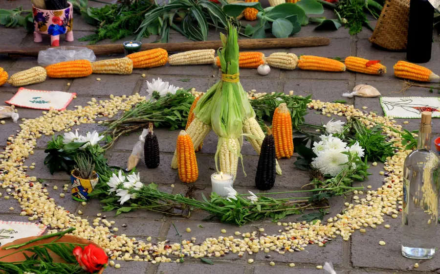 alimentos-sanos1