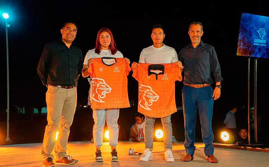 playeras 
