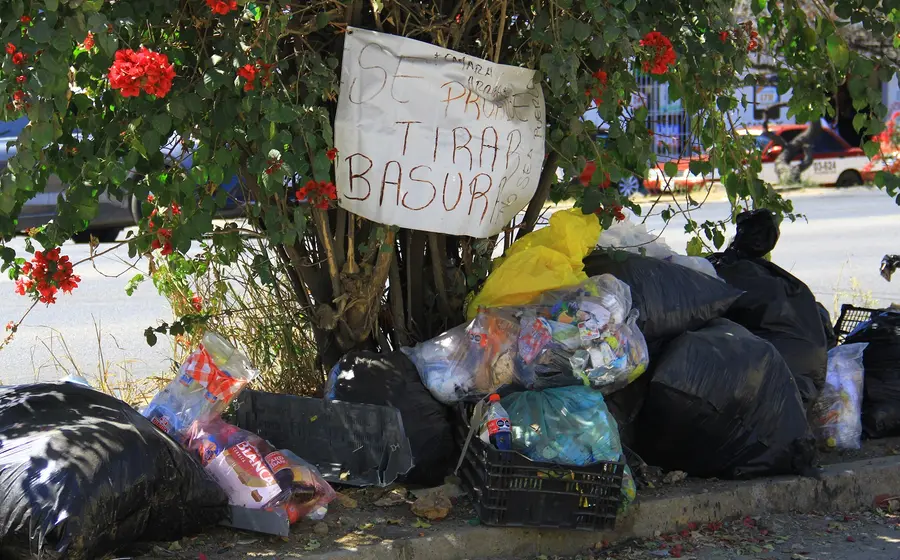 basura-bolsas