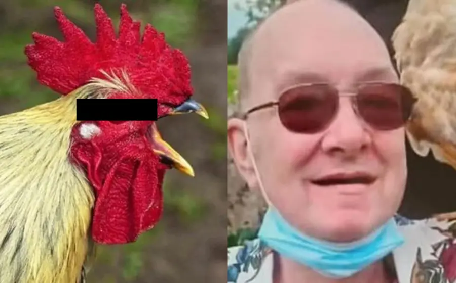 gallina_ultima_anciano