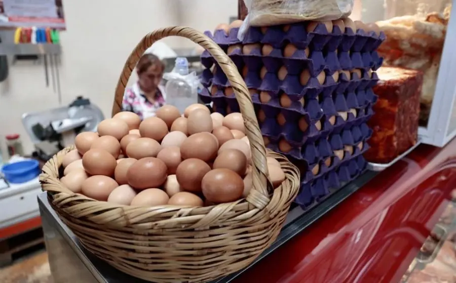 huevos 
