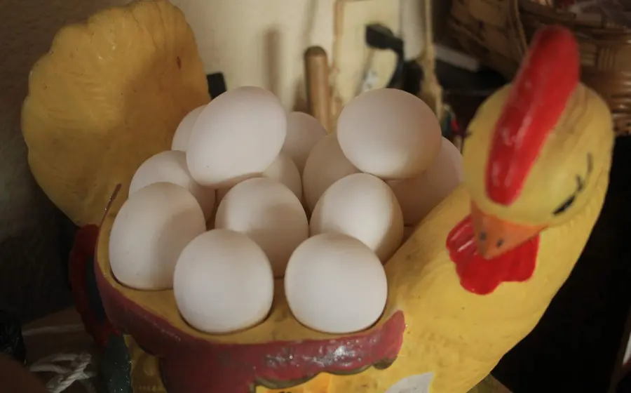 huevos 
