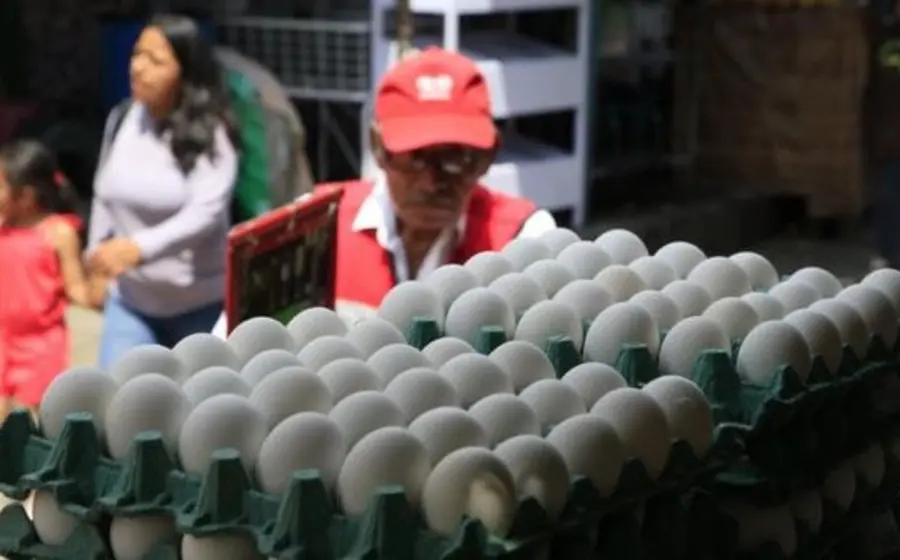 huevos