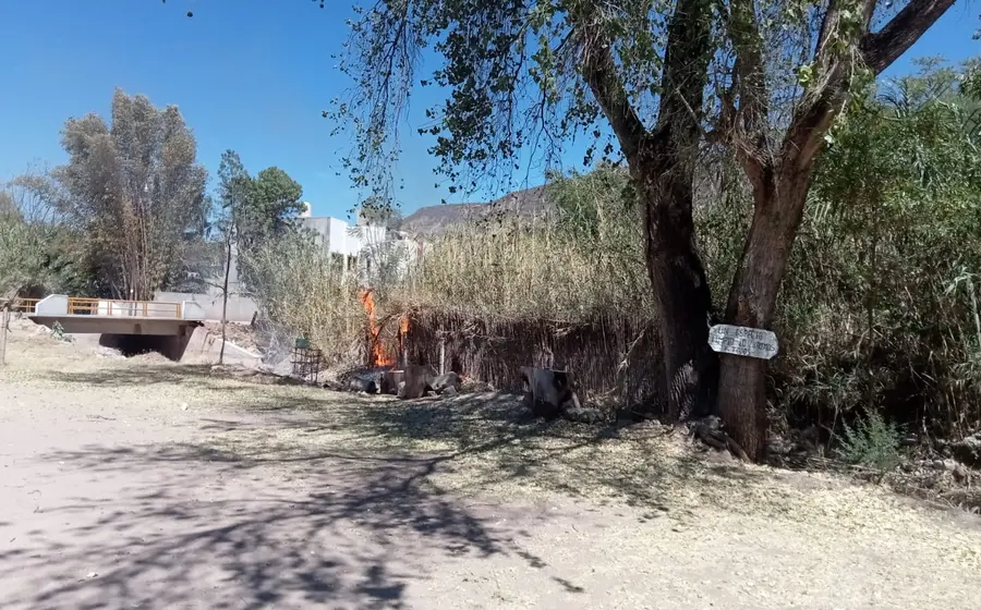 incendio-pastizales