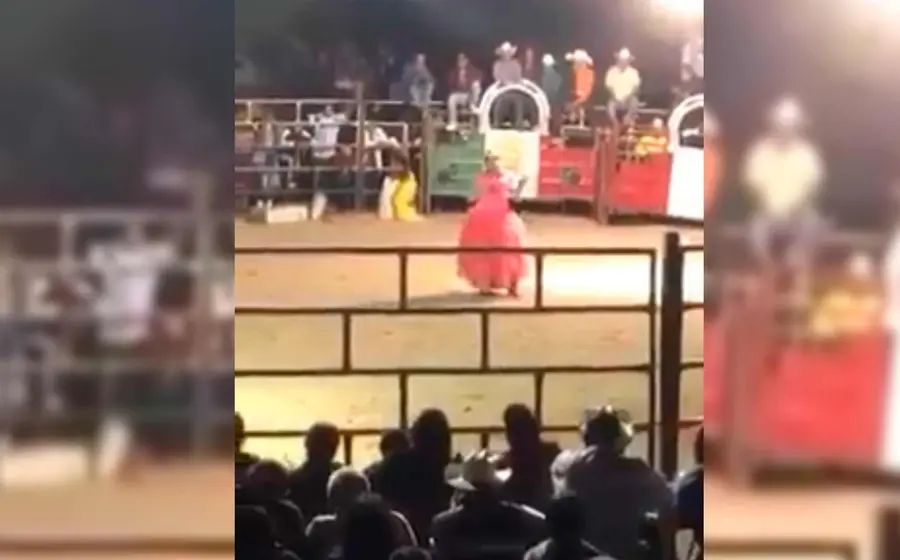 jaripeo