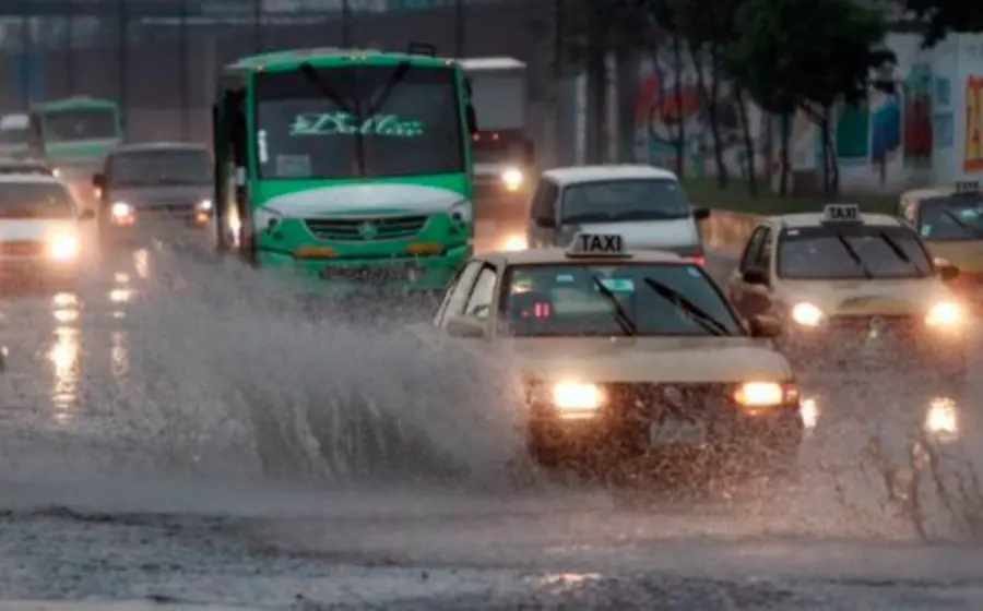 trafico 