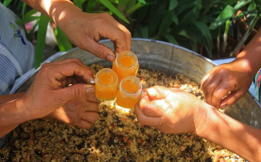mezcal-curado1