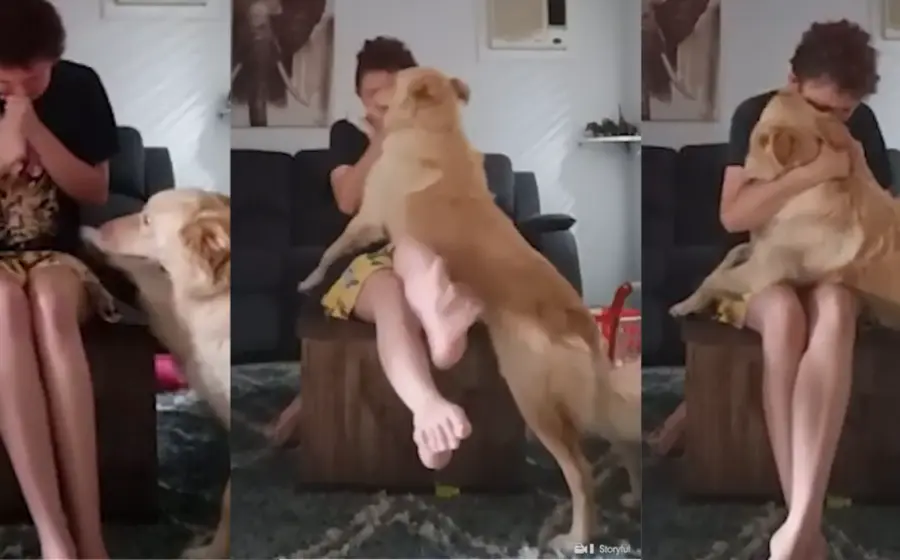 perrito-ataque-panico