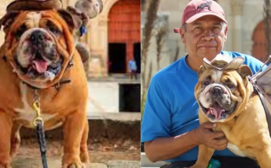 baloo_y_su_entrenador
